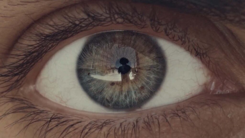 استوری ولادت امام رضا