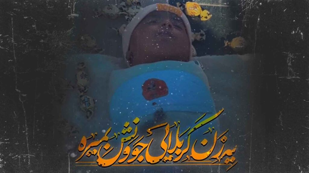 کربلایی حسن عطایی - نماهنگ ام البنین