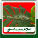 اسلاید مینیمالیستی