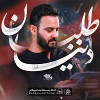 دانلود نماهنگ دنیا طلبان وحید شکری