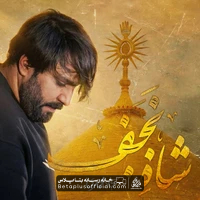دانلود نماهنگ شاه نجف سجاد محمدی