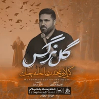 دانلود نماهنگ گل نرگس محمدرضا خامه چیان