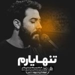 دانلود تنها یارم دوست دارم امین قدیم