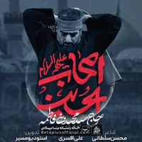 دانلود نماهنگ اصحاب الحسین سید مجید بنی فاطمه