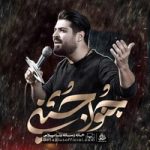 دانلود نماهنگ جنون حسین مهدی رعنایی