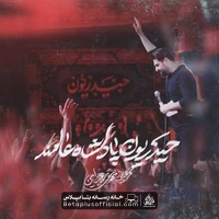 دانلود نماهنگ حیدریون پادشاه عالمند مهدی رعنایی - حاج مهدی رعنایی