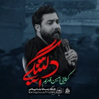 دانلود نماهنگ دلتنگی امین قدیم - امین قدیم