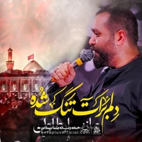 دانلود نماهنگ دلم برات تنگ شده مازیار طاولی