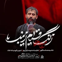 دانلود نماهنگ زنگ قیام زینب حسین طاهری