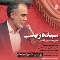دانلود نماهنگ سیده زینب حاج محمد علی قاسمی