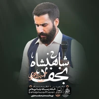 دانلود نماهنگ شاهنشاه نجف حسین طاهری