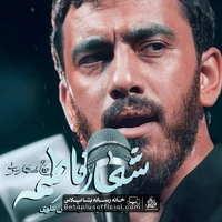 دانلود نماهنگ شعار فاطمه مهدی رسولی - مهدی رسولی