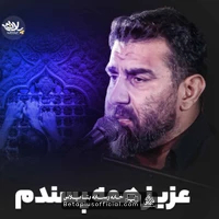 دانلود نماهنگ عزیز همه پسندم علی پورکاوه