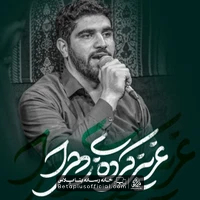 دانلود نماهنگ عزیز کرده زهرا حسین افشار