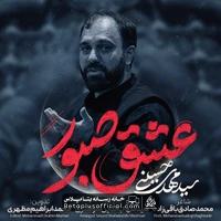 دانلود نماهنگ عشق صبورم سید مهدی حسینی