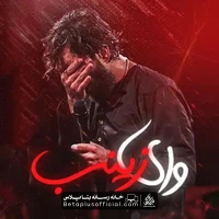 دانلود نماهنگ وای زینب حسین ستوده