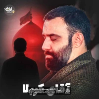 دانلود نماهنگ آقای کربلا جواد مقدم