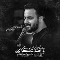 دانلود نماهنگ دلی که عاشقی نکرده وحید شکری