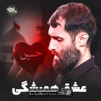 دانلود نماهنگ عشق همیشگی سید علی مومنی